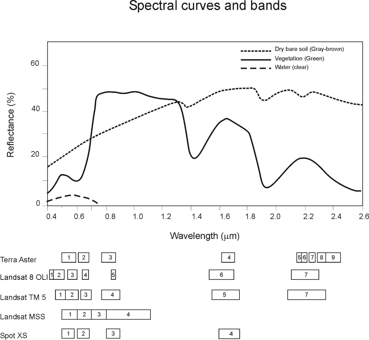 _images/spectral-curves-bands.png